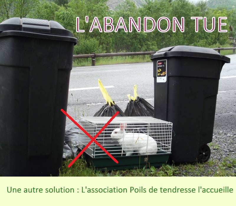 NOUS MANQUONS DE FAMILLES D ACCUEIL